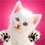 SMS Chatter gesucht