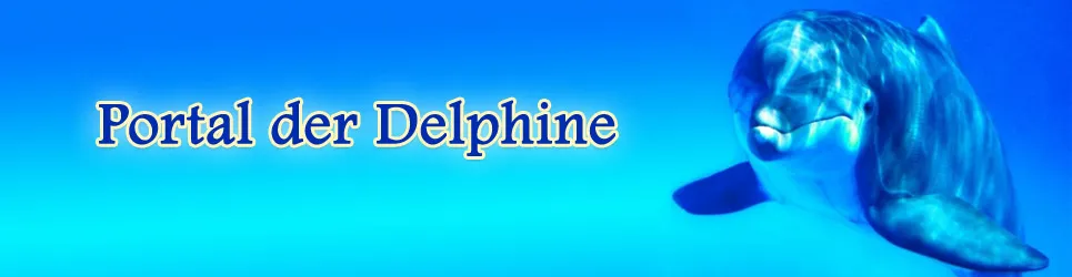 Portal der Delphine   Spezielle Lebensberatung jetzt für Sie!