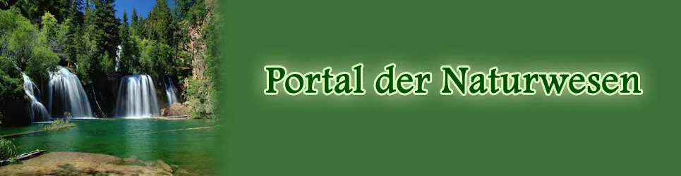 Portal der Naturwesen   10 Gratisminuten jetzt für Sie