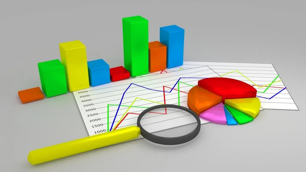 Programmierer in SPSS und R