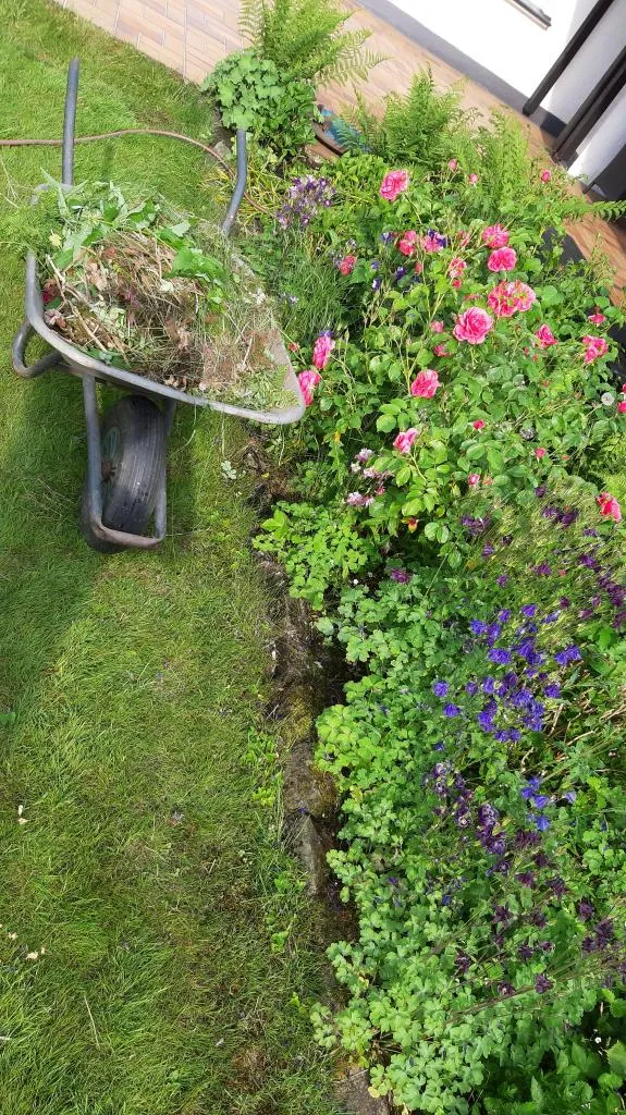 Gartenhelfer hilft in Düsseldorf & Meerbusch – Bild 1